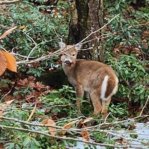 Meet your Posher, Brad
